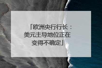 欧洲央行行长：美元主导地位正在变得不确定