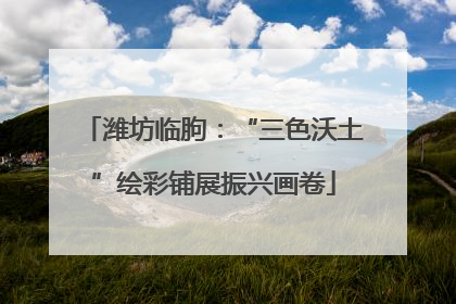 潍坊临朐：“三色沃土”绘彩铺展振兴画卷