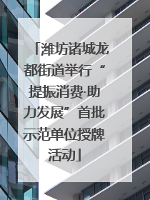 潍坊诸城龙都街道举行“提振消费·助力发展”首批示范单位授牌活动
