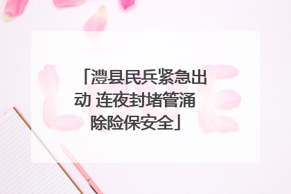 澧县民兵紧急出动 连夜封堵管涌除险保安全