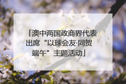 澳中两国政商界代表出席“以球会友·同贺端午”主题活动