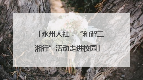 永州人社：“和谐三湘行”活动走进校园