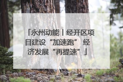 永州动能丨经开区项目建设“加速跑” 经济发展“再提速”