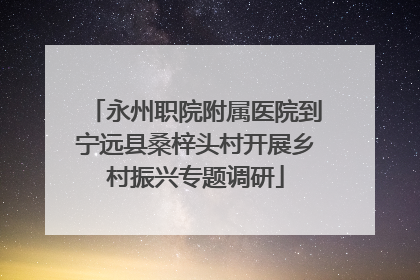 永州职院附属医院到宁远县桑梓头村开展乡村振兴专题调研