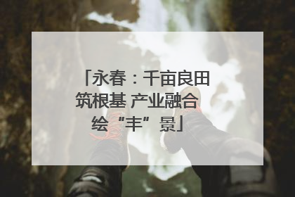 永春：千亩良田筑根基 产业融合绘“丰”景