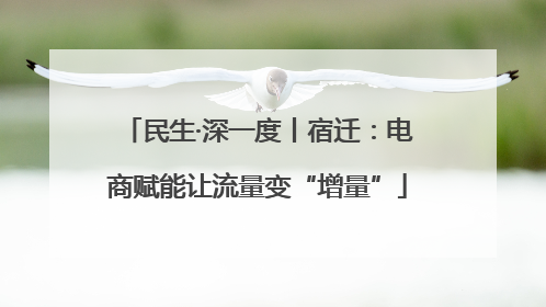 民生·深一度丨宿迁：电商赋能让流量变“增量”