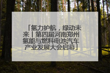 氢力护航，绿动未来丨第四届河南郑州氢能与燃料电池汽车产业发展大会启幕