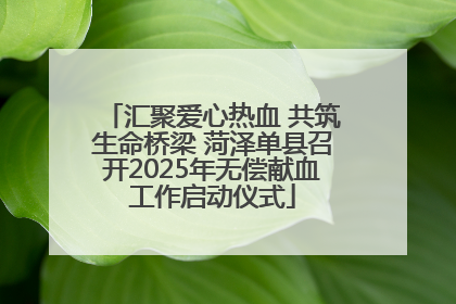 汇聚爱心热血 共筑生命桥梁 菏泽单县召开2025年无偿献血工作启动仪式