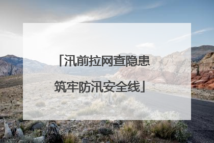 汛前拉网查隐患 筑牢防汛安全线