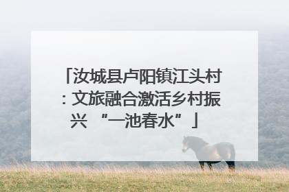 汝城县卢阳镇江头村：文旅融合激活乡村振兴 “一池春水”