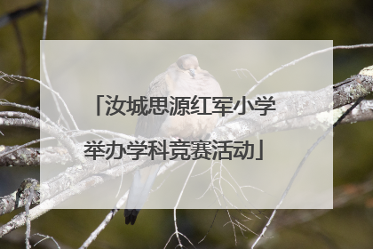 汝城思源红军小学举办学科竞赛活动