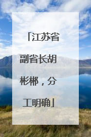 江苏省副省长胡彬郴，分工明确