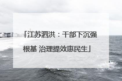 江苏泗洪：干部下沉强根基 治理提效惠民生
