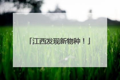 江西发现新物种！
