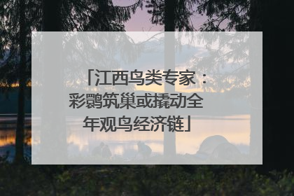 江西鸟类专家：彩鹮筑巢或撬动全年观鸟经济链