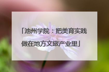 池州学院：把美育实践做在地方文旅产业里