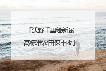 沃野千里绘新景 高标准农田保丰收