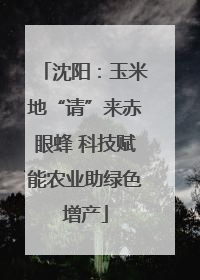 沈阳：玉米地“请”来赤眼蜂 科技赋能农业助绿色增产