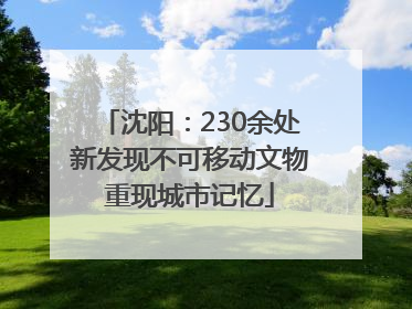 沈阳：230余处新发现不可移动文物重现城市记忆