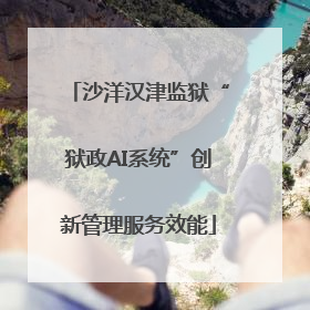 沙洋汉津监狱“狱政AI系统”创新管理服务效能