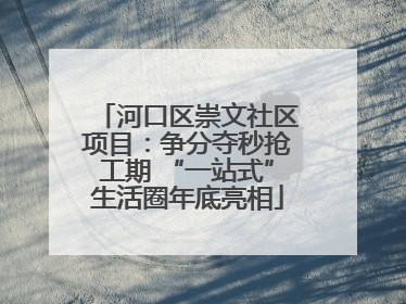 河口区崇文社区项目：争分夺秒抢工期 “一站式”生活圈年底亮相
