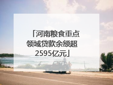 河南粮食重点领域贷款余额超2595亿元