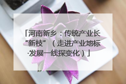 河南新乡：传统产业长“新枝”（走进产业地标·发展一线探变化）