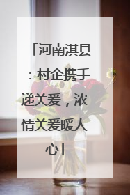 河南淇县：村企携手递关爱，浓情关爱暖人心