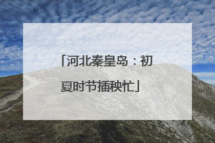 河北秦皇岛：初夏时节插秧忙