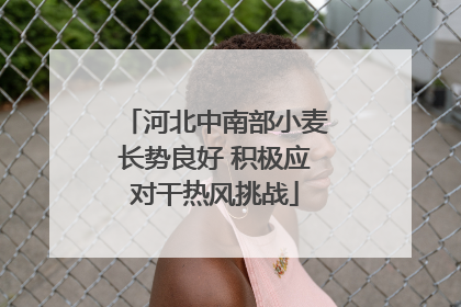 河北中南部小麦长势良好 积极应对干热风挑战