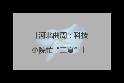 河北曲周：科技小院忙“三夏”