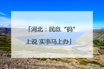 河北：民意“码”上说 实事马上办