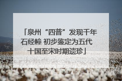 泉州“四普”发现千年石经幢 初步鉴定为五代十国至宋时期遗珍