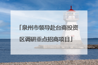 泉州市领导赴台商投资区调研重点招商项目
