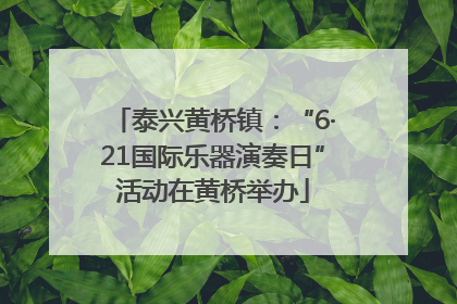 泰兴黄桥镇：“6·21国际乐器演奏日”活动在黄桥举办