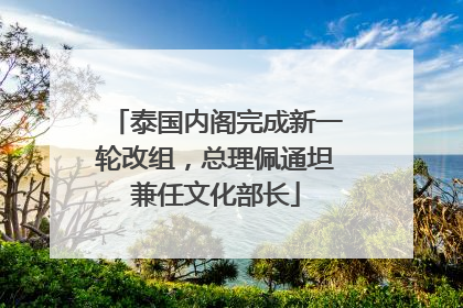 泰国内阁完成新一轮改组，总理佩通坦兼任文化部长
