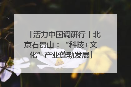 活力中国调研行丨北京石景山：“科技+文化”产业蓬勃发展