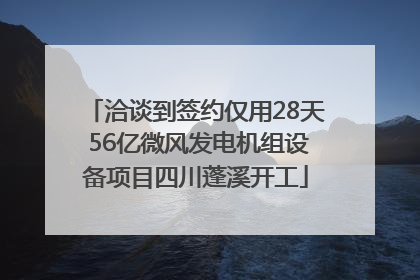 洽谈到签约仅用28天 56亿微风发电机组设备项目四川蓬溪开工