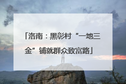 洛南：黑彰村“一地三金”铺就群众致富路