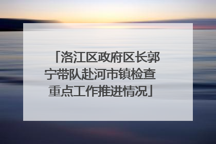 洛江区政府区长郭宁带队赴河市镇检查重点工作推进情况