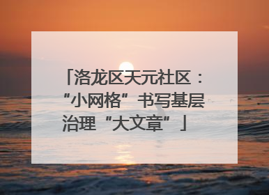 洛龙区天元社区：“小网格”书写基层治理“大文章”