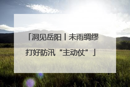 洞见岳阳丨未雨绸缪 打好防汛“主动仗”