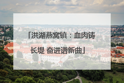 洪湖燕窝镇：血肉铸长堤 奋进谱新曲