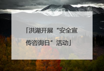洪湖开展“安全宣传咨询日”活动
