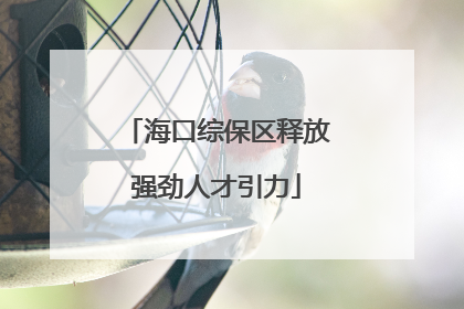 海口综保区释放强劲人才引力