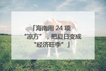 海南用 24 项 “凉方”，把夏日变成 “经济旺季”