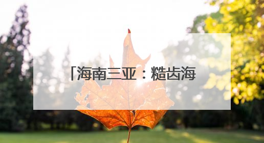 海南三亚：糙齿海豚被成功放归大海