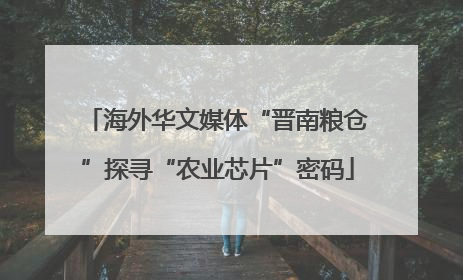 海外华文媒体“晋南粮仓”探寻“农业芯片”密码