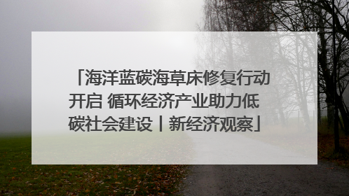 海洋蓝碳海草床修复行动开启 循环经济产业助力低碳社会建设丨新经济观察