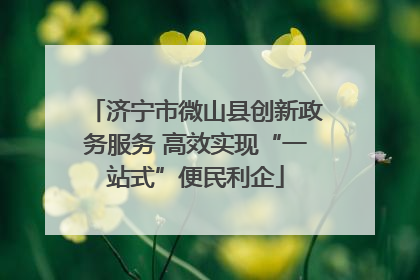 济宁市微山县创新政务服务 高效实现“一站式”便民利企